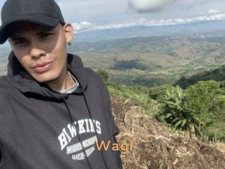 wagi Du Cul A Gogo