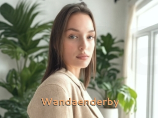 Wandaenderby