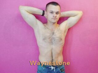 waynestone Du Cul A Gogo