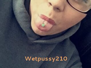 Wetpussy210