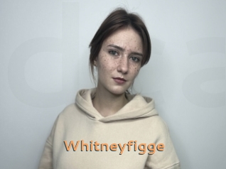 Whitneyfigge