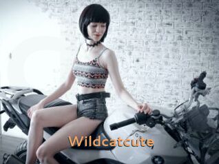 Wildcatcute