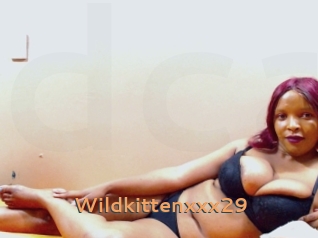 Wildkittenxxx29
