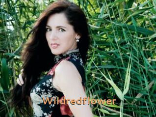 Wildredflower
