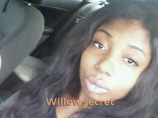 Willow_secret