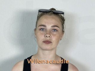 Wilonacaudle