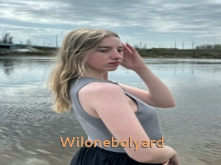 Wilonebolyard