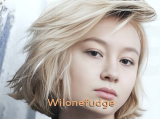 Wilonefudge