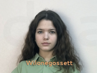 Wilonegossett