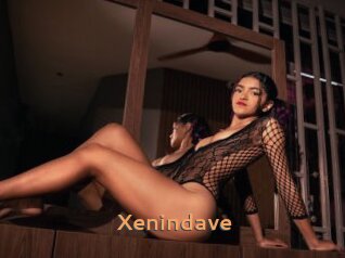 Xenindave