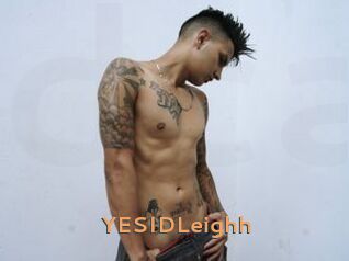 YESIDLeighh Du Cul A Gogo