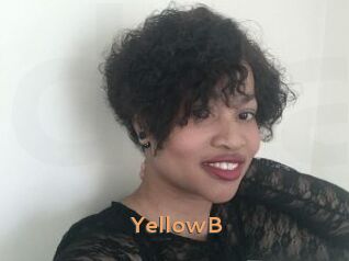 YellowB