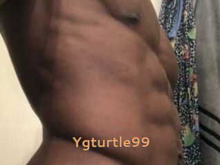 Ygturtle99