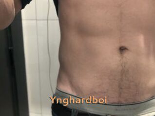 Ynghardboi