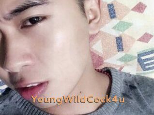 YoungWildCock4u