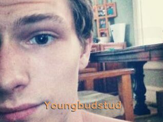 Youngbudstud