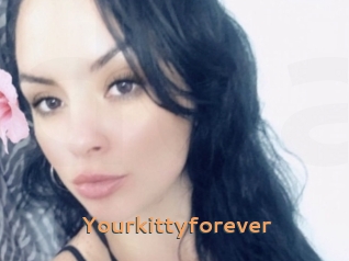 Yourkittyforever