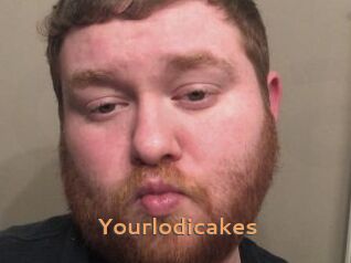Yourlodicakes