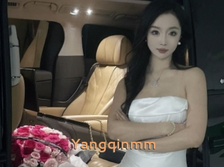 Yangqinmm