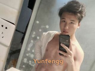 Yunfengg
