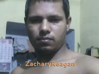 Zachary_Reagan Du Cul A Gogo