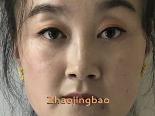 Zhaojingbao