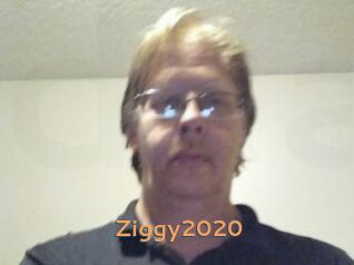 Ziggy2020