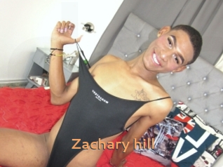 Zachary_hill