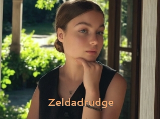 Zeldadrudge