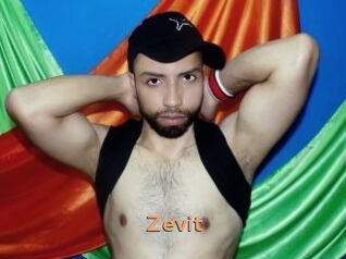Zevit